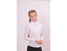 Phoca thumb l 1-732.jpg