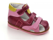 2489.������� ORTO.jpg