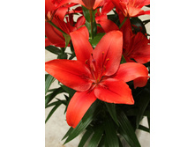 20,9���. ����� �������(��� 7 ��. ���������� ������ 3 ��� 4 ��.)���16.jpg