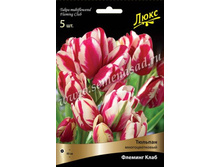 ������� ������� ����.jpg