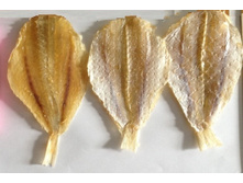 ���Σ� ����������