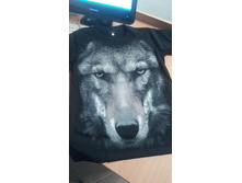 ���� �������.jpg