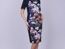 237x317 00-00020444.0.jpg