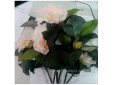 4606500620456 ����� ������������� ������, 45�� 1 1524,9.jpg