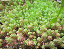 ����� 021.jpg