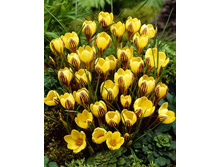 12,24���. ������ ������ ��� (����.)(���������� ������ ������ ���������� �� 7 ��.).jpg