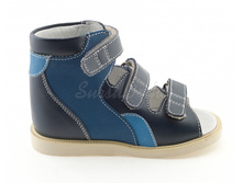 ������� 1995 ���