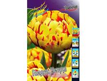 17���. ������� ������ �����(��� 10 ��. ���������� ������ 5��.).jpg