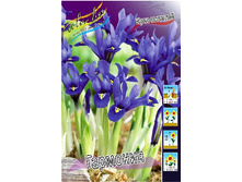 7,82���. ���� ����. ��������(���������� ������ ������ ���������� �� 10 ��.).jpg