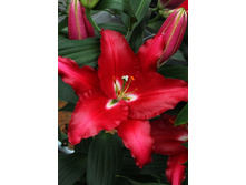 28,1���. ����� ��������(��� 7 ��. ���������� ������ 3 ��� 4 ��.).jpg