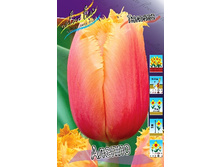 21,3���. ������� ������(��� 10 ��. ���������� ������ 5��.).jpg