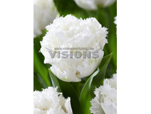 31,61���. ������� ���� ���(��� 10 ��. ���������� ������ 5��.)���16.jpg