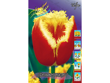 17,93���. ������� ���������(��� 10 ��. ���������� ������ 5��.).jpg