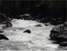 DSCN1417.jpg