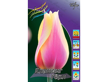 18,5���. ������� ������� ����(��� 10 ��. ���������� ������ 5��.).jpg