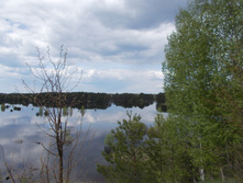 2016-05-07 12-17-30.jpg