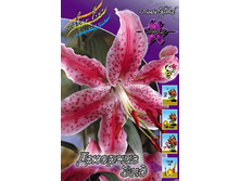 28,1���. ����� ������� ���(��� 7 ��. ���������� ������ 3 ��� 4 ��.).jpg