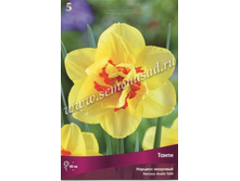 ������� �����.jpg