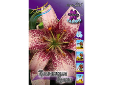 33,4���. ����� �������� ����(��� 5 ��. ���������� ������ 2 ��� 3 ��.).jpg