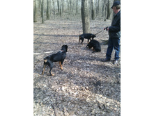 � �������� ����� ��������� )