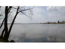 IMG 20160430 120147.jpg