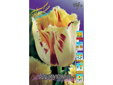 20,37���. ������� ��������(��� 10 ��. ���������� ������ 5��.).jpg