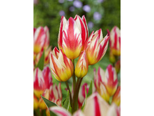 24,11���. ������� ���������(��� 10 ��. ���������� ������ 5��.)���16.jpg