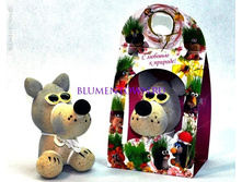 22 ��������� ����