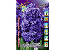 33,24���. ������� ���� ����(��� 5 ��. ���������� ������ 2 ��� 3 ��.).jpg