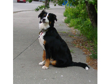 IMG 20160516 181648.jpg