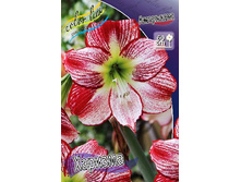 424,7���. ��������� �������(�������� ���� �� 1 ��., ����������� ����� 1��.).jpg