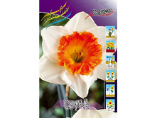 30,03���. ������� �����(��� 7 ��. ���������� ������ 3 ��� 4 ��.).jpg