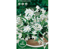 ���������� �����.jpg