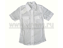 �1158 ������� ������ 100%	196