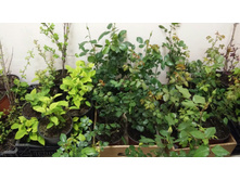 �������� ��� �������� �� ����� ��������� (�������� � ����������� � �������)