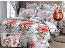 ��������� ����.jpg