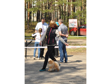 08-DSC 0502.JPG