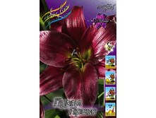 32,03���. ����� ����� �����(��� 6 ��. ���������� ������ 2 ��� 3 ��.).jpg