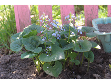 �������� (�ϣ ����)