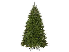 73274 ������ ����� ������ �������