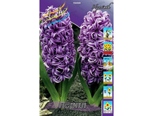 22,94���. ������� �����(��� 5 ��. ���������� ������ 2 ��� 3 ��.).jpg