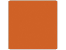 ����� 170 Jersye ���������_750,00 ���.