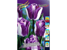 573781457751e 1756rub. tyulpan khotpantsryad 10 sht. zakazyvaem kratno 5sht..jpg