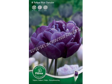 ������� ��� ������.jpg