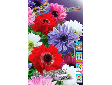 5,15���. ������� ��.�������, �����(���������� ������ ������ ���������� �� 15 ��.).jpg