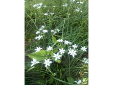 IMG 20160528 165803.jpg