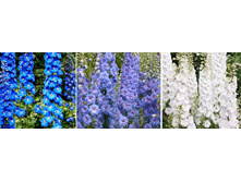 ���������� ���� ���� 90 ��� (���� �� ���������� ����� ������� �� �������������� �� ����).jpg