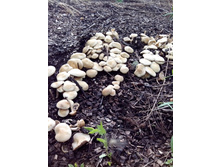 IMG 20160523 173625.jpg