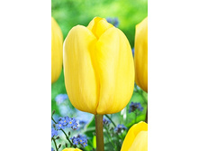 19,43���. ������� �������(��� 10 ��. ���������� ������ 5��.)���15.jpg