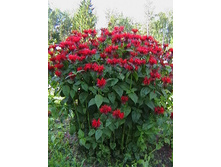 ������� ��������� ������� 90���.jpg